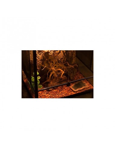 Terrarium 60x45x90cm Reptizoo Reptizoo - 3