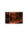Terrarium 60x45x90cm Reptizoo Reptizoo - 3