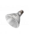 Lampe Spot Halogene 100w Reptizoo Reptizoo - 1