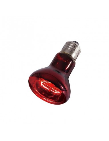 Lampe chauffante à infrarouge Reptizoo Reptizoo - 1