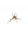 Racine Fingerwood L 40-60cm Hobby HOBBY - 2