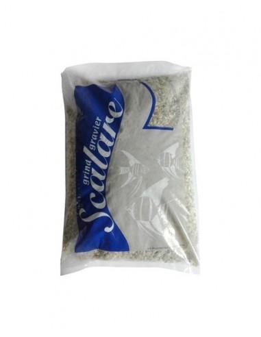 Scalare gravier gros clair 10kg SCALARE - 2