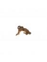 Mopani Wortel L 35-50cm Hobby HOBBY - 1
