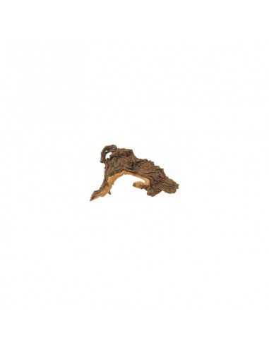 Racine Mopani  M 25-35cm Hobby HOBBY - 1