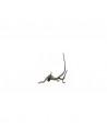 Racine Fingerwood S Dark 20-30cm Hobby HOBBY - 3