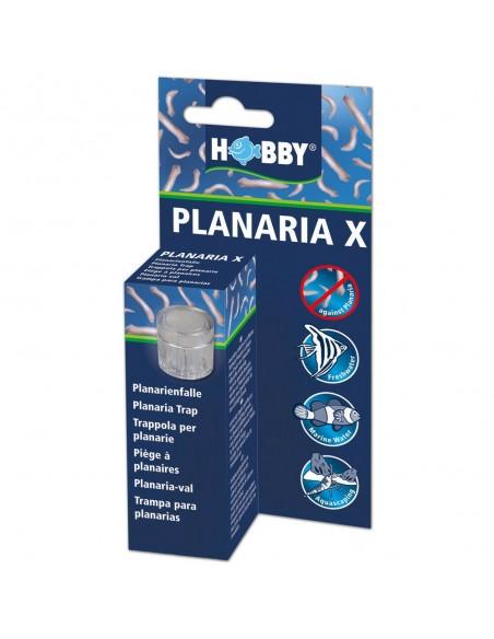 Planaria x  Piège à Planaires Hobby HOBBY - 2
