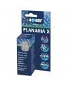 Planaria x Planariaval Hobby HOBBY - 2