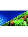 Poster Plantes 8/Marin Blue - Hobby HOBBY - 1