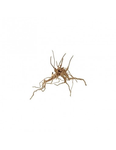 Racine Fingerwood S 20-30cm Hobby HOBBY - 2
