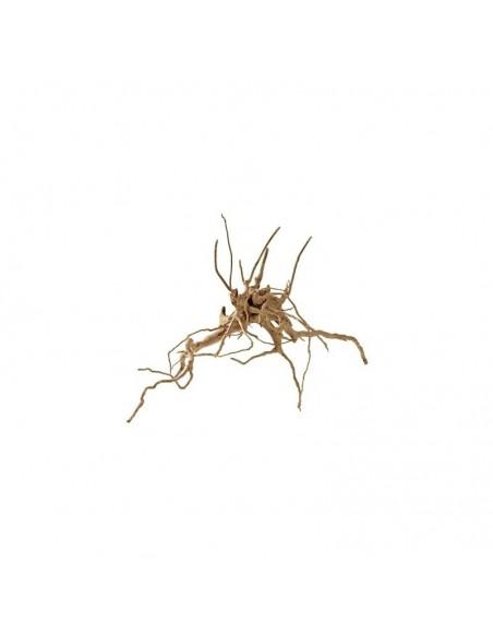 Racine Fingerwood S 20-30cm Hobby HOBBY - 2
