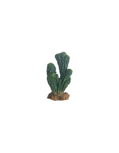 Cactus Victoria 19cm Hobby HOBBY - 1