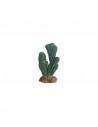 Cactus Victoria 19cm Hobby HOBBY - 1