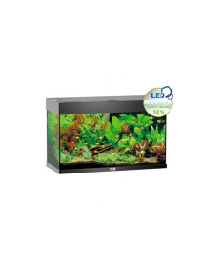 Aquarium Rio 125 LED (2x14w ) Juwel JUWEL - 1