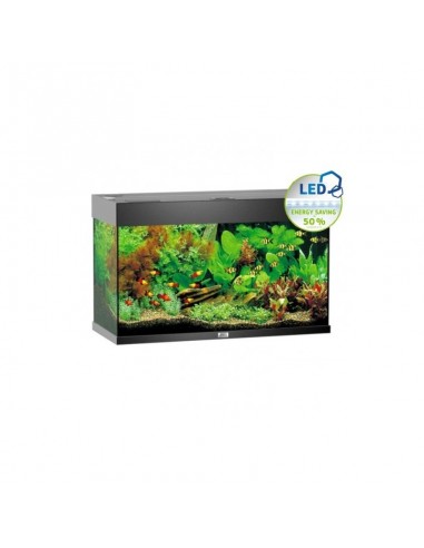 Aquarium Rio 125 LED (2x14w ) Juwel JUWEL - 1