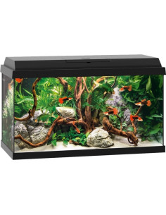 Aquarium Primo 60 Zwart Juwel JUWEL - 1