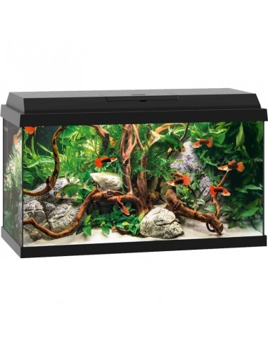 Aquarium Primo 60 Noir  Juwel JUWEL - 1