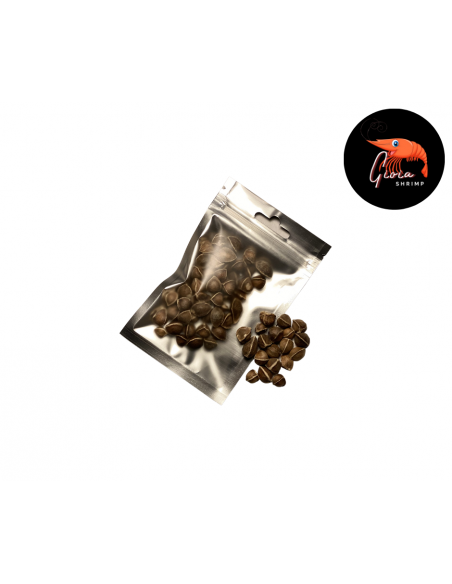 Graines de Moringa x50 Gioia Shrimp - 1