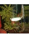 Proflora Taifun P Nano 2 (Reaktor) JBL - 1