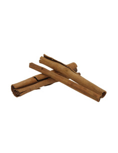Kaneelschors tubes (x6) ceramicnature - 1