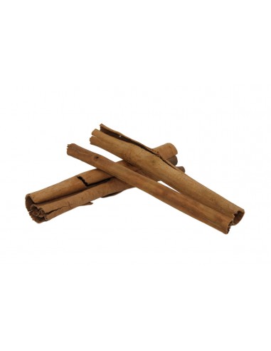 Kaneelschors tubes (x6) ceramicnature - 1