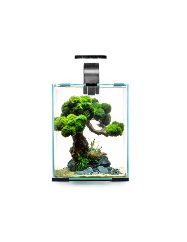 Aquarium Shrimpset Smart D&N 10l AQUAEL - 3