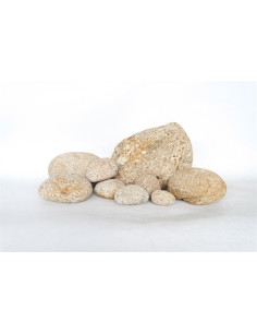 Tamago Rock AquaBota - 1