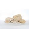 Tamago Rock AquaBota - 1