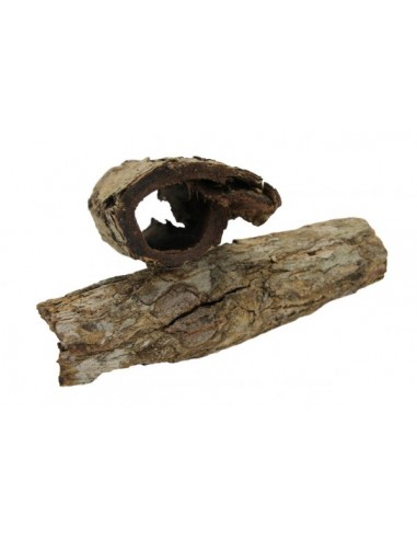 Catappa bark tubes3/pc. ceramicnature - 1
