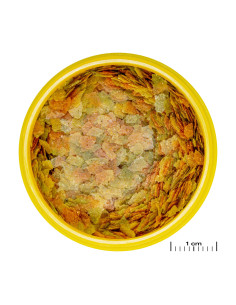 Pronovo Betta - Flakes S - 100 ml - Flocons pour combattants JBL - 1
