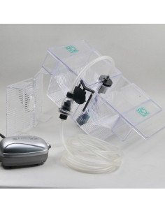 JBL BabyHome oxygène JBL - 2