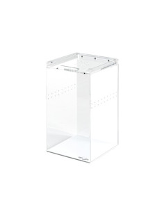 Terrarium Acrylique Transparent 14x14x24cm Reptizoo Reptizoo - 1