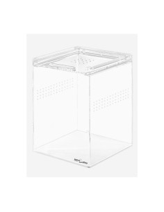 Terrarium Acrylique Transparent 15x15x25cm Reptizoo Reptizoo - 1