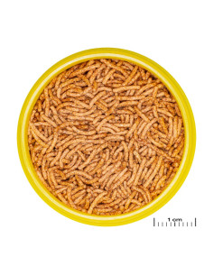 Pronovo Betta - Insect - 100 ml - Grano  voor Betta splendens JBL - 2