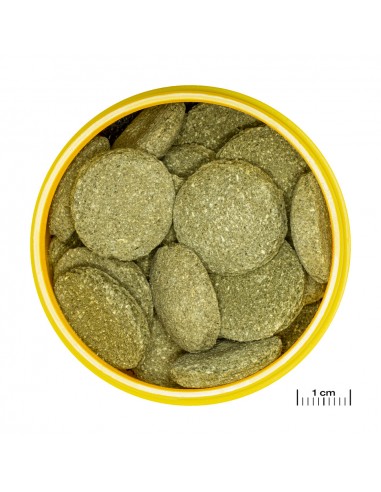 PRONOVO PLECO WAFER XL JBL - 1