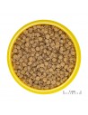Jbl Pronovo Fantail Grano M JBL - 2
