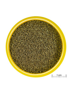 JBL PRONOVO DANIO GRANO XS JBL - 1