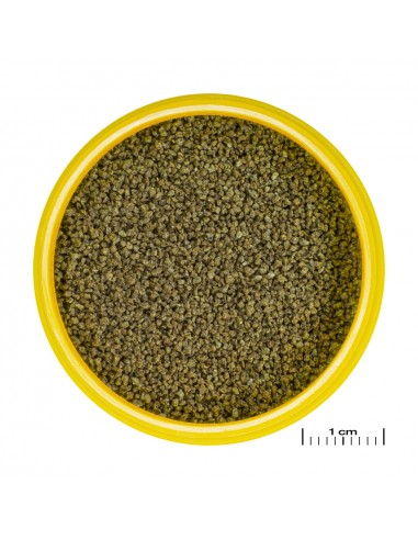 JBL PRONOVO DANIO GRANO XS JBL - 1