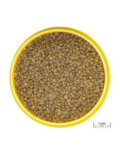 JBL PRONOVO GOURAMI GRANO S 250 ml JBL - 2