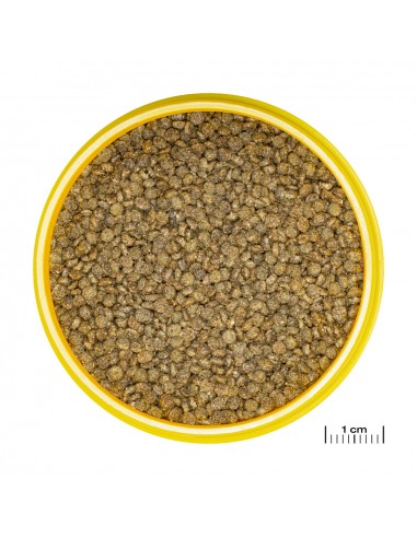 JBL PRONOVO GOURAMI GRANO S 250 ml JBL - 2