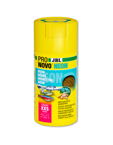 JBL PRONOVO Neon GRANO XXS JBL - 1