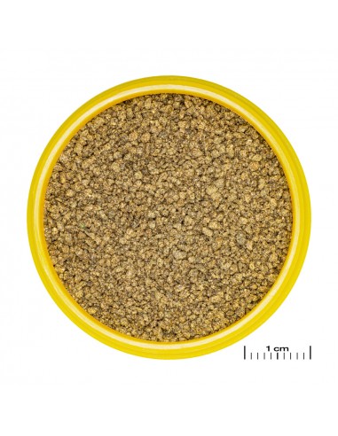 JBL PRONOVO KILLIFISH GRANO S JBL - 2