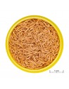 JBL PRONOVO RED INSECT STICK S JBL - 2
