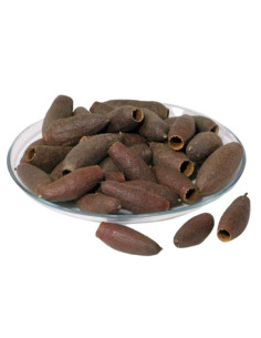 Savu pod / Jequitiba 6-9cm AquaBota - 1