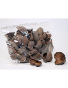 Badam nut 5-8cm AquaBota - 1