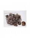 Badam nut 5-8cm AquaBota - 1