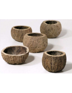 Half coconut 8-10cm unit AquaBota - 1