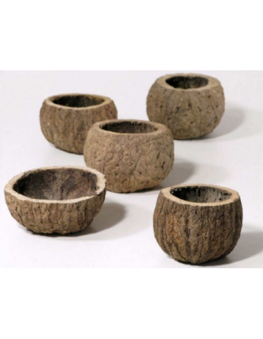 Half coconut 8-10cm unit AquaBota - 1