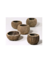 Half coconut 8-10cm piece AquaBota - 1