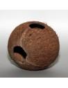 Cocos Cava 1/1l  JBL JBL - 1