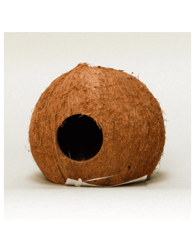 Cocos Cava 3/4  JBL JBL - 1